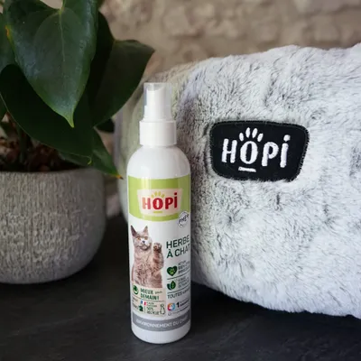 HOPI Spray Herbe à Chat - Stimule le Bien Être - Extraits de Plantes HOPI Spray Herbe à Chat - Stimule le Bien Être - Extraits de Plantes
