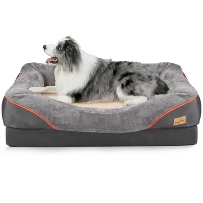 BingoPaw Canapé-lit pour chat et petit chien BingoPaw Canapé-lit pour chat et petit chien