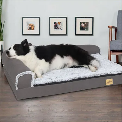 BingoPaw Coussin Modern Living pour chat et petit chien