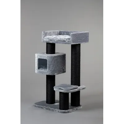 RHR Quality Arbre à chat Devon Rex