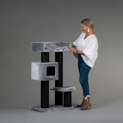 RHR Quality Arbre à chat Devon Rex