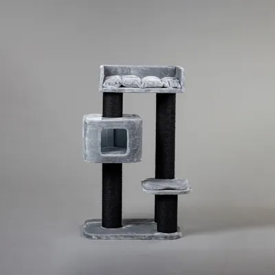 RHR Quality Arbre à chat Devon Rex RHR Quality Arbre à chat Devon Rex