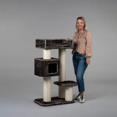 RHR Quality Arbre à chat Devon Rex