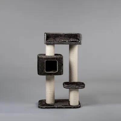 RHR Quality Arbre à chat Devon Rex