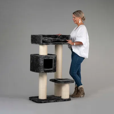 RHR Quality Arbre à chat Devon Rex