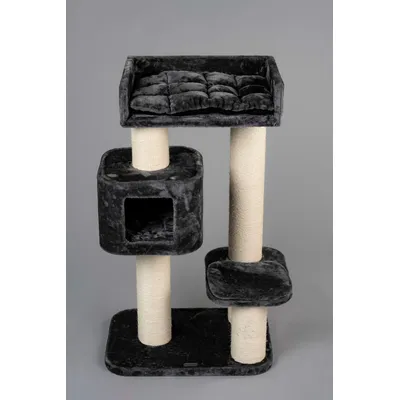 RHR Quality Arbre à chat Devon Rex