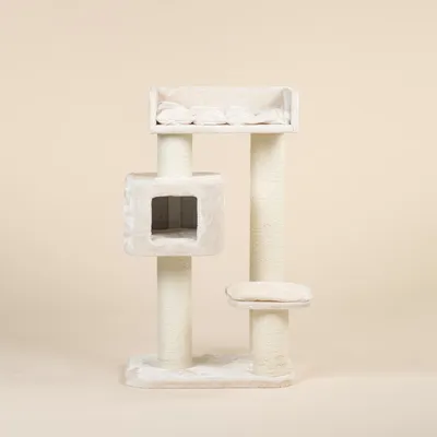 RHR Quality Arbre à chat Devon Rex RHR Quality Arbre à chat Devon Rex