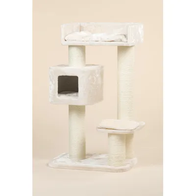 RHR Quality Arbre à chat Devon Rex