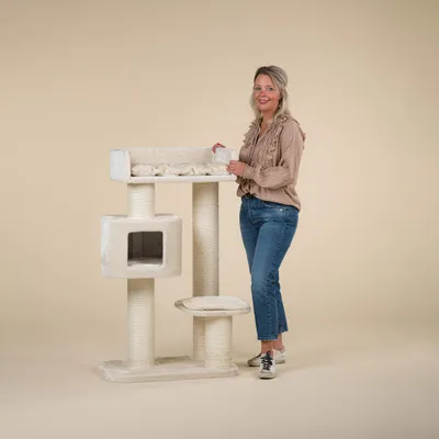 RHR Quality Arbre à chat Devon Rex