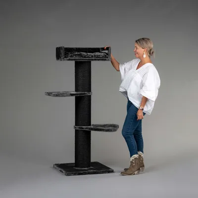 RHR Quality Arbre à chat Royalty