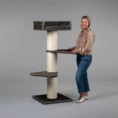 RHR Quality Arbre à chat Royalty