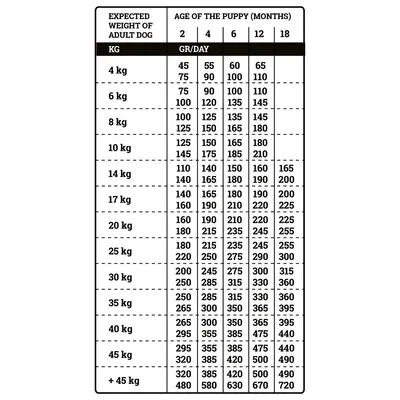 NATURA WILD Little Creek