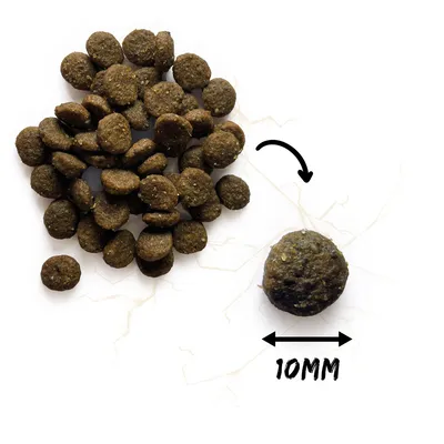 NATURA WILD Little Creek