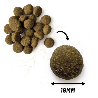 NATURA WILD North Country