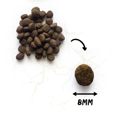 NATURA WILD Small Ridge