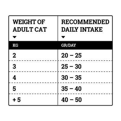 NATURA WILD Rocky Plain