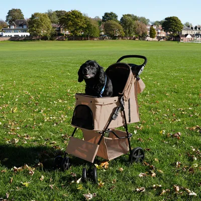 Monster Shop Poussette pour Animal de Compagnie & Sac Caddy