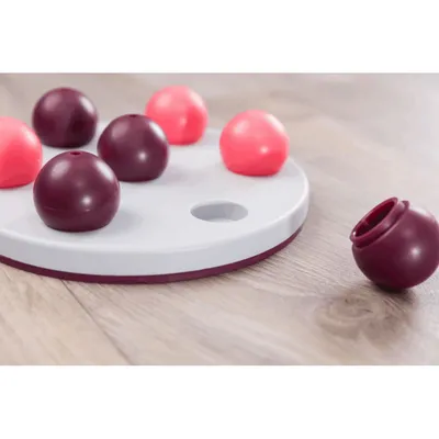 Jeux de stratégie pour chat +50g de friandises