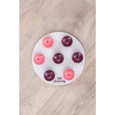 Jeux de stratégie pour chat +50g de friandises