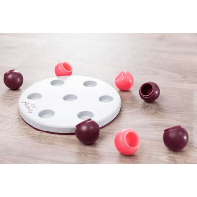 Jeux de stratégie pour chat +50g de friandises