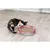 Jouet pour chat Race & Scratch ø 37 cm Jouet pour chat Race & Scratch ø 37 cm
