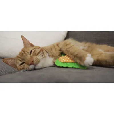 Feutre Cœur avec garnissage Valériane 11 cm Jouet pour Chat,