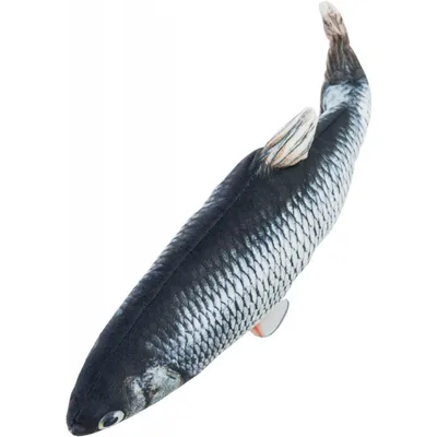 Poisson frétillant avec catnip, rechargeable par usb pour chats