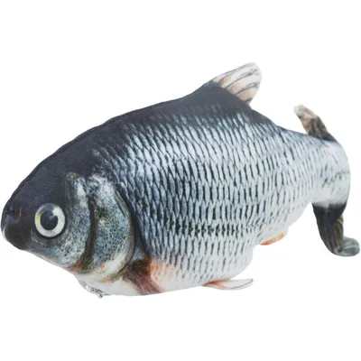 Poisson frétillant avec catnip, rechargeable par usb pour chats