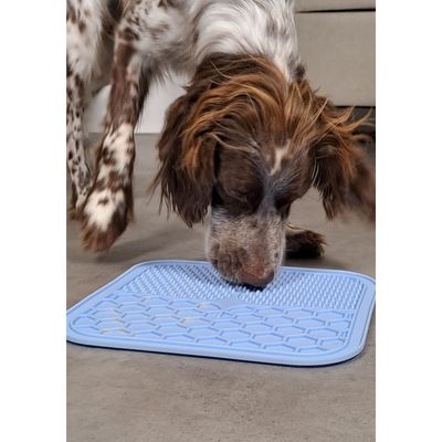 Tapis à lécher silicone ventouse M 21 x 21 cm  pour chien