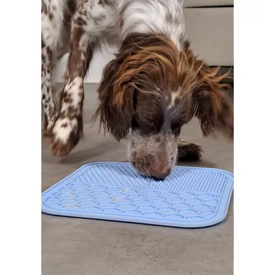 Tapis à lécher silicone ventouse M 21 x 21 cm  pour chien