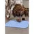 zolux - Tapis à lécher silicone ventouse M 21 x 21 cm  pour chien