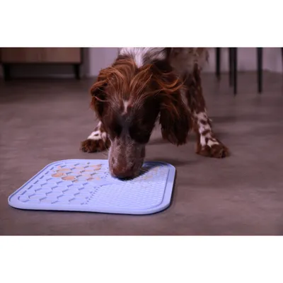 zolux - Tapis à lécher silicone ventouse M 21 x 21 cm  pour chien