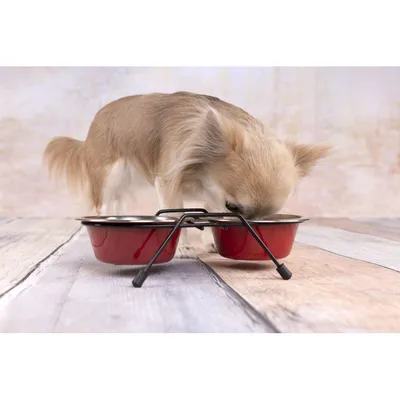 Flamingo - Ecuelle duo ø 16 cm. 800 ml. avec support Arjun. M . pour chien