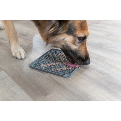 Assiette à lécher Lick'n'Snack 20 x 20 cm gris pour chien
