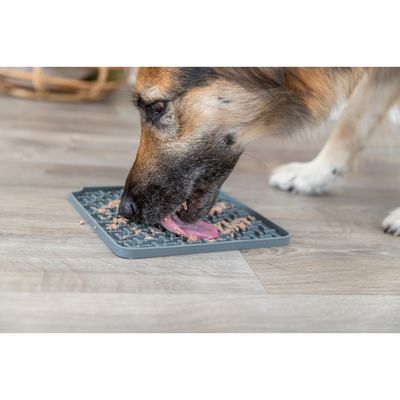 Assiette à lécher Lick'n'Snack 20 x 20 cm gris pour chien