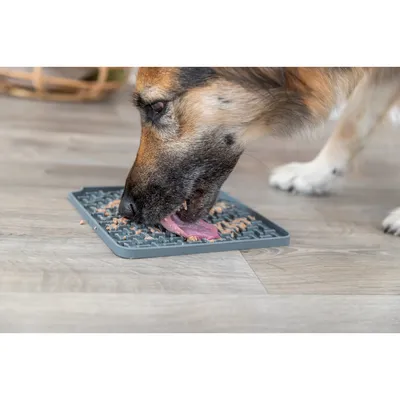 Trixie - Assiette à lécher Lick'n'Snack 20 x 20 cm gris pour chien