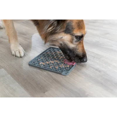 Trixie - Assiette à lécher Lick'n'Snack 20 x 20 cm gris pour chien