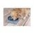 Gamelle anti glouton, Beno , à ventouse, 800 ML, ø 21.5 CM, chien