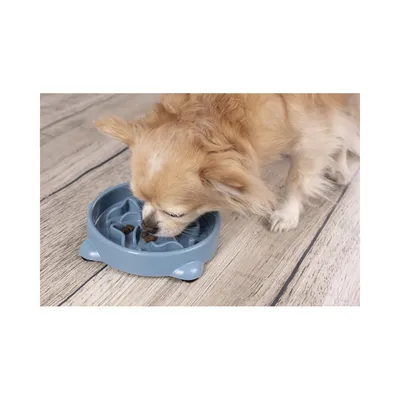 Gamelle anti glouton, Beno , à ventouse, 800 ML, ø 21.5 CM, chien