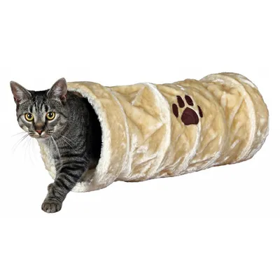 Tunnel de jeu, peluche beige ø 22 × 60 cm pour Chat
