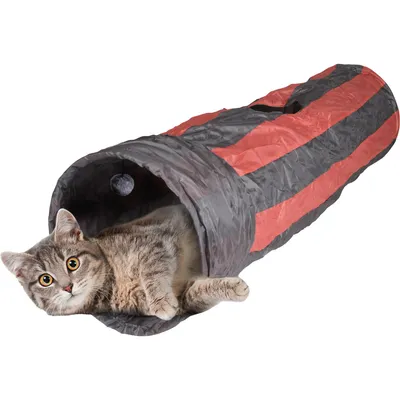 animallparadise - Tunnel de jeux Féline ø 25 x 90 cm pour chat