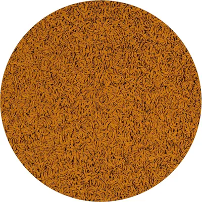 Goldfish Wave Sticks 34 g -100 ml Aliment complet pour les poissons