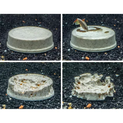 Tetra - Holiday menu  30g Aliment pour les poissons tropicaux