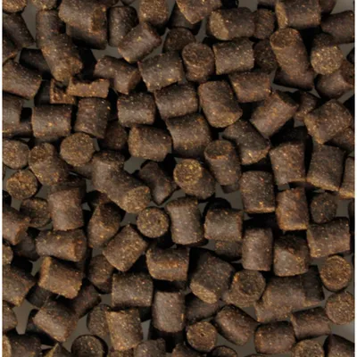 Esturgeons nourriture en granulés ø 6 mm 5 Litres