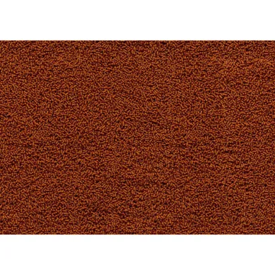 Goldfish Gold Japonais 145g - 250ml Aliment complet pour les poissons Japon
