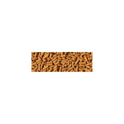 Nourriture en sticks Tetra Pond Wheatgerm pour poissons de bassin en eau fr