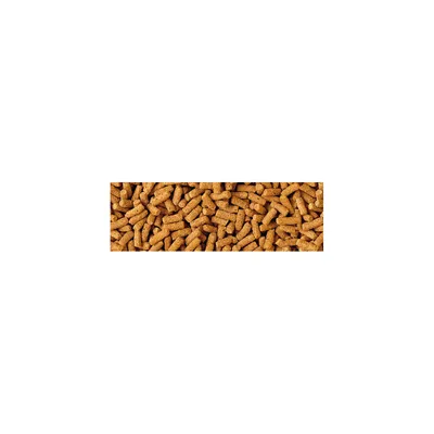 Nourriture en sticks Tetra Pond Wheatgerm pour poissons de bassin en eau fr Nourriture en sticks Tetra Pond Wheatgerm pour poissons de bassin en eau fr