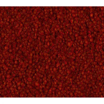 Goldfish Crisps 20g - 100ml Aliment complet pour les poissons