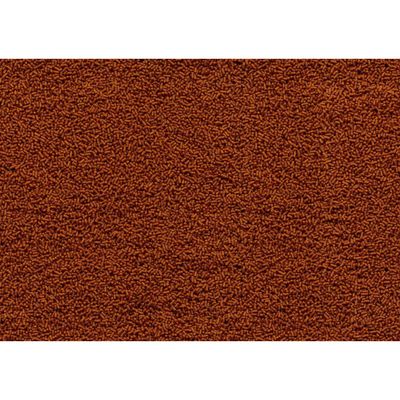 Goldfish Gold Japonais 55g - 100ml Aliment complet pour les poissons Japona