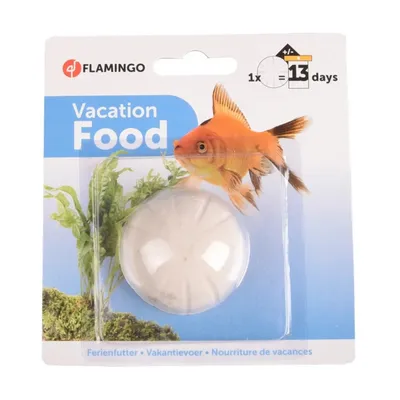 1 Bloc alimentaire vacances pour les poissons, Aquarium